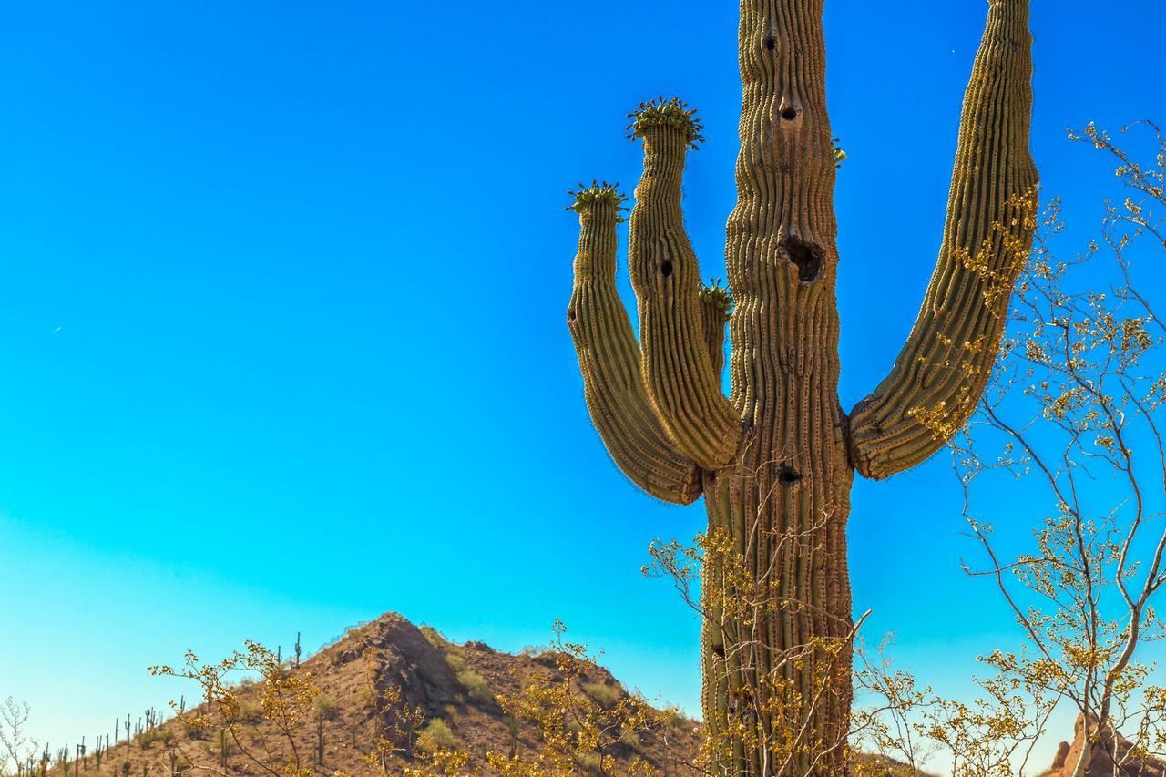 Esplendora Apartman Tucson Kültér fotó